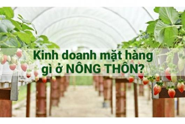 3 lưu ý khi mở quán net ở vùng nông thôn mang lại doanh thu khủng